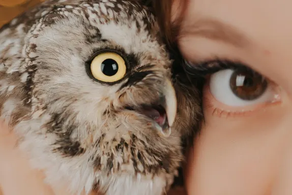 Efbet Casino תמיכה